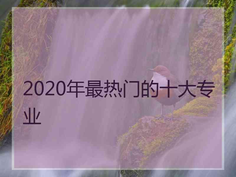 2020年最热门的十大专业