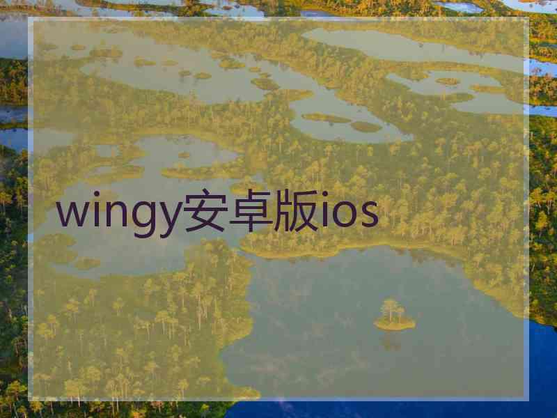 wingy安卓版ios