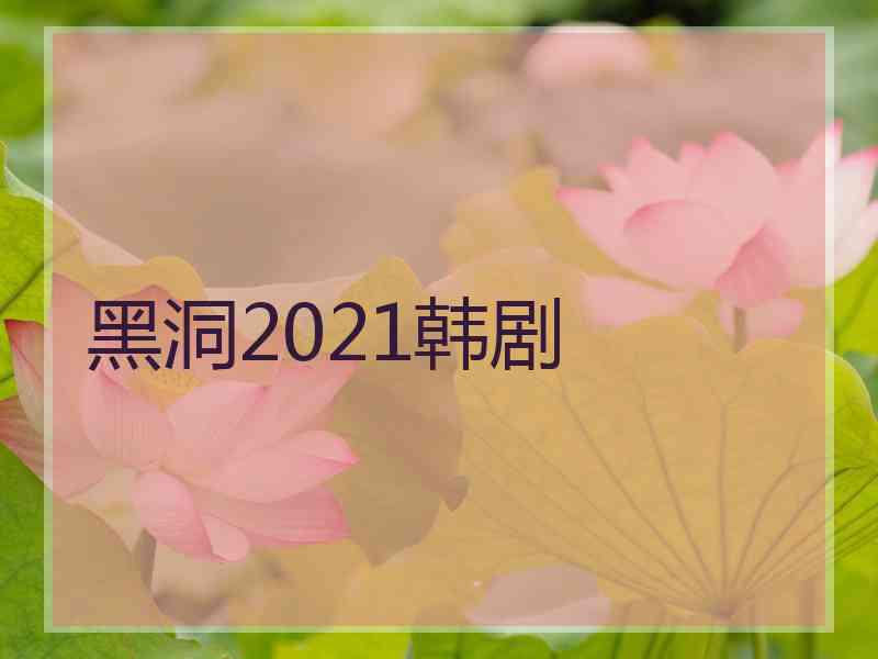 黑洞2021韩剧