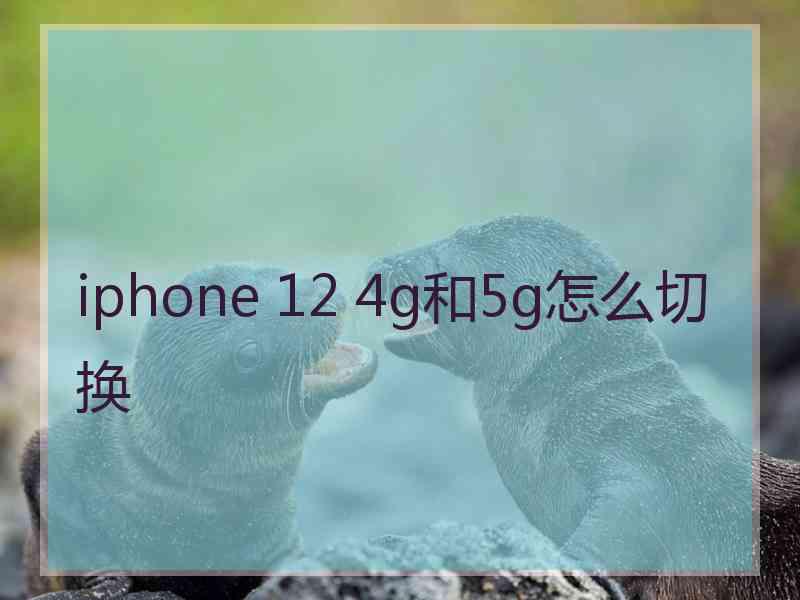 iphone 12 4g和5g怎么切换