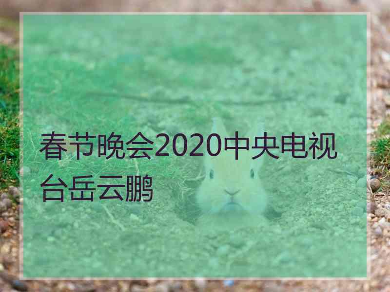 春节晚会2020中央电视台岳云鹏