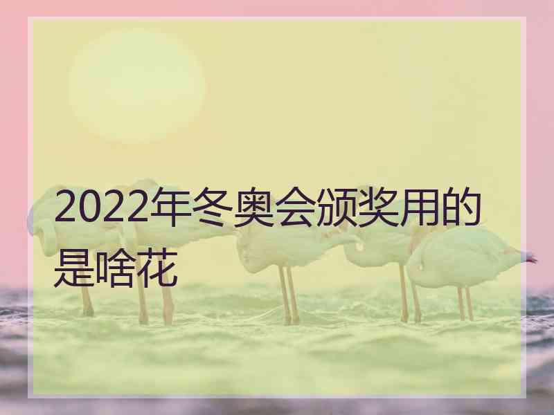 2022年冬奥会颁奖用的是啥花