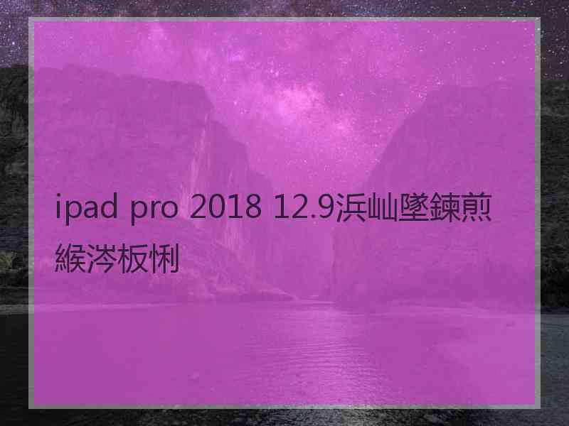 ipad pro 2018 12.9浜屾墜鍊煎緱涔板悧