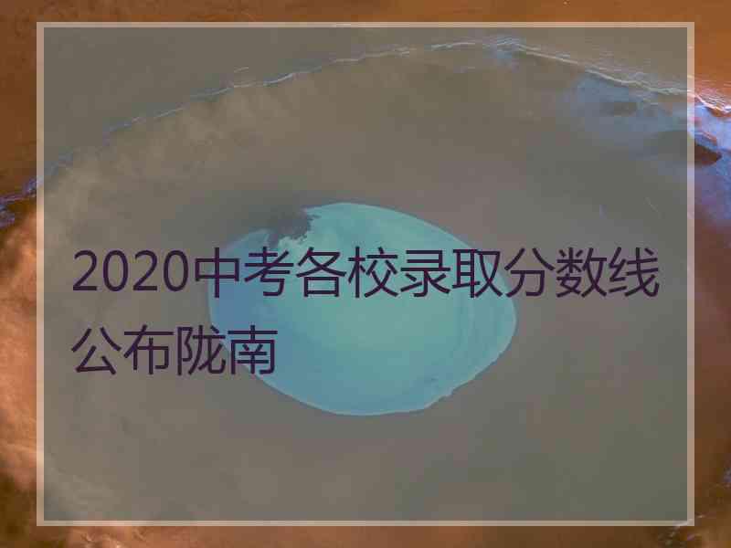 2020中考各校录取分数线公布陇南