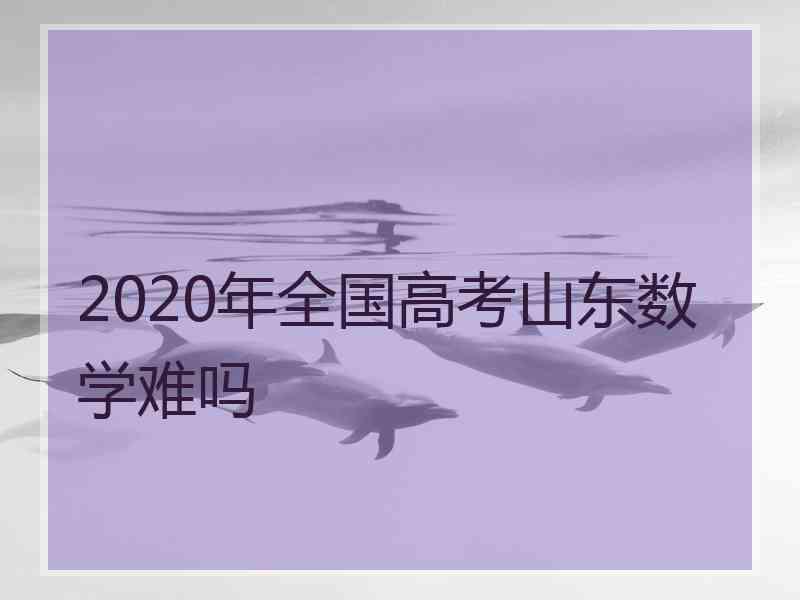 2020年全国高考山东数学难吗