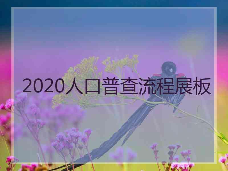 2020人口普查流程展板