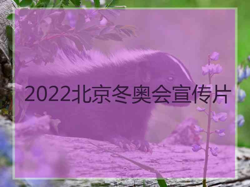 2022北京冬奥会宣传片