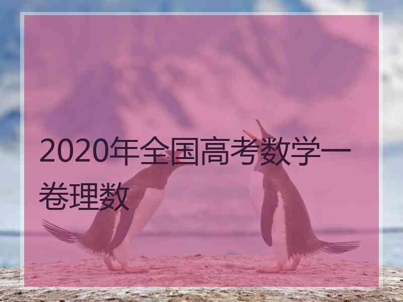 2020年全国高考数学一卷理数