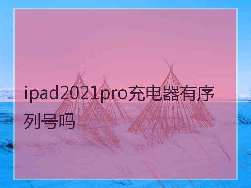 ipad2021pro充电器有序列号吗