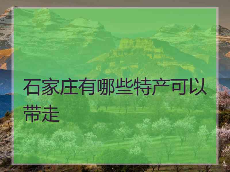 石家庄有哪些特产可以带走