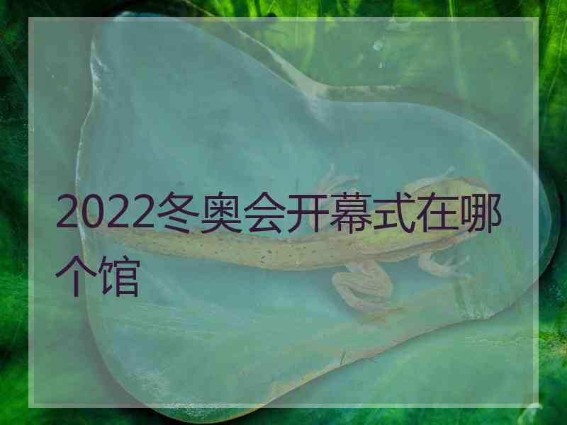 2022冬奥会开幕式在哪个馆