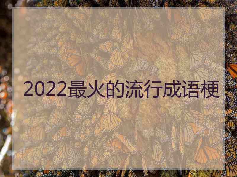 2022最火的流行成语梗