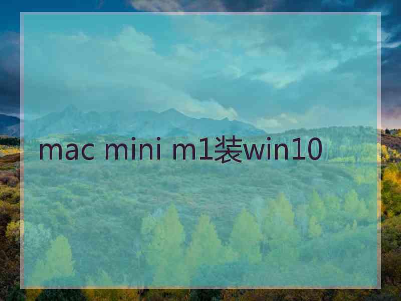 mac mini m1装win10