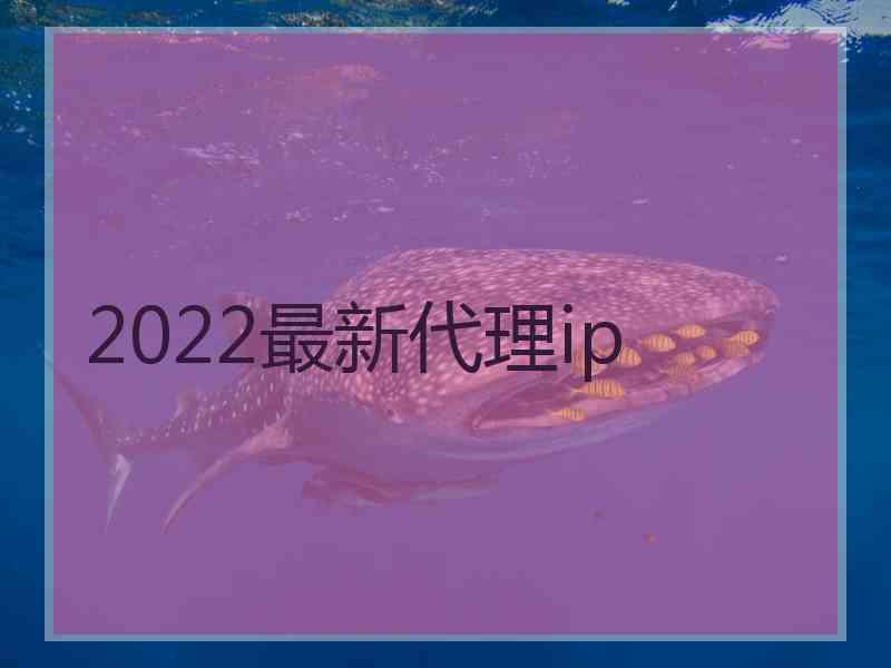 2022最新代理ip