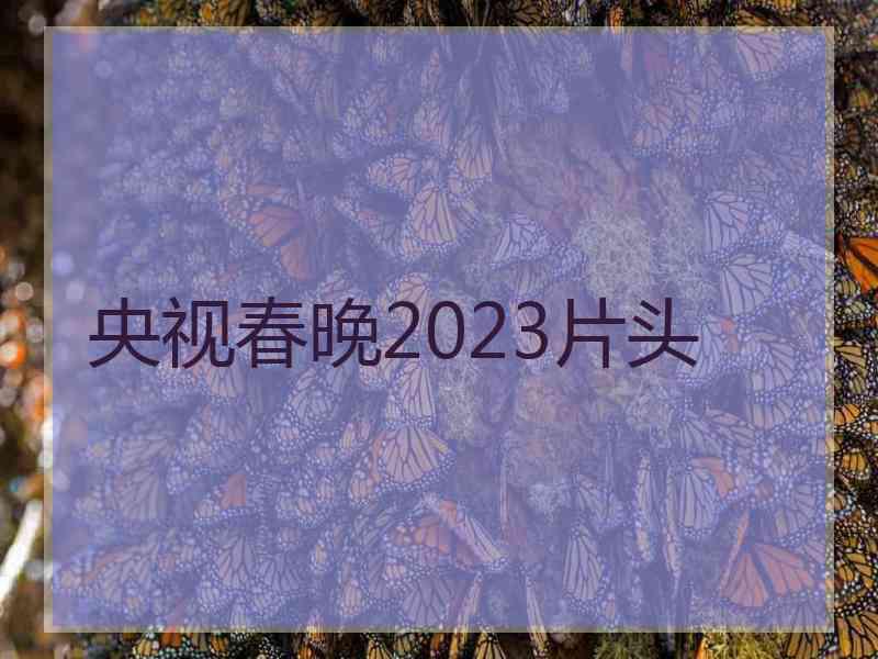 央视春晚2023片头