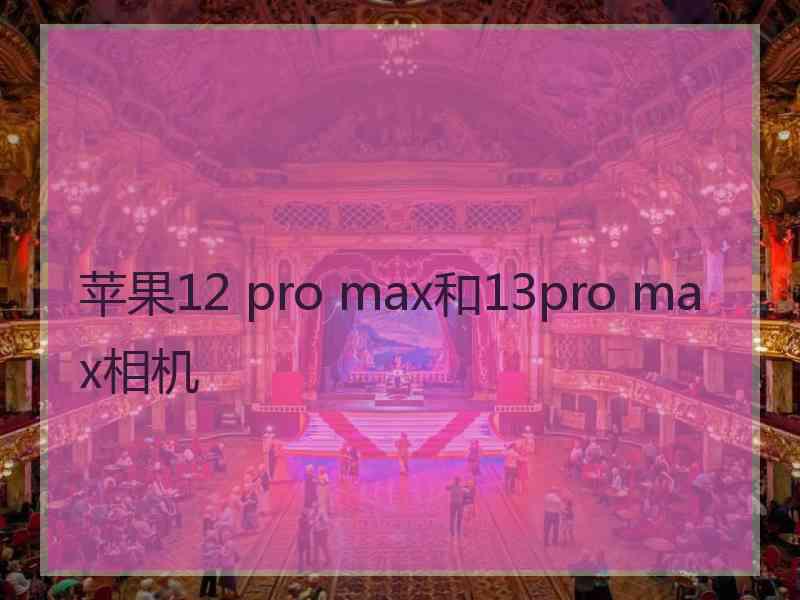 苹果12 pro max和13pro max相机