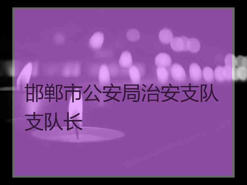 邯郸市公安局治安支队支队长