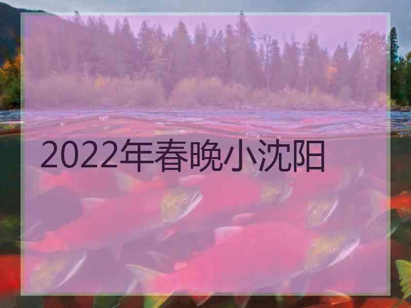 2022年春晚小沈阳