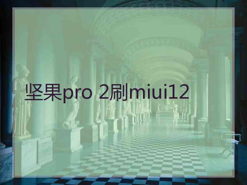 坚果pro 2刷miui12