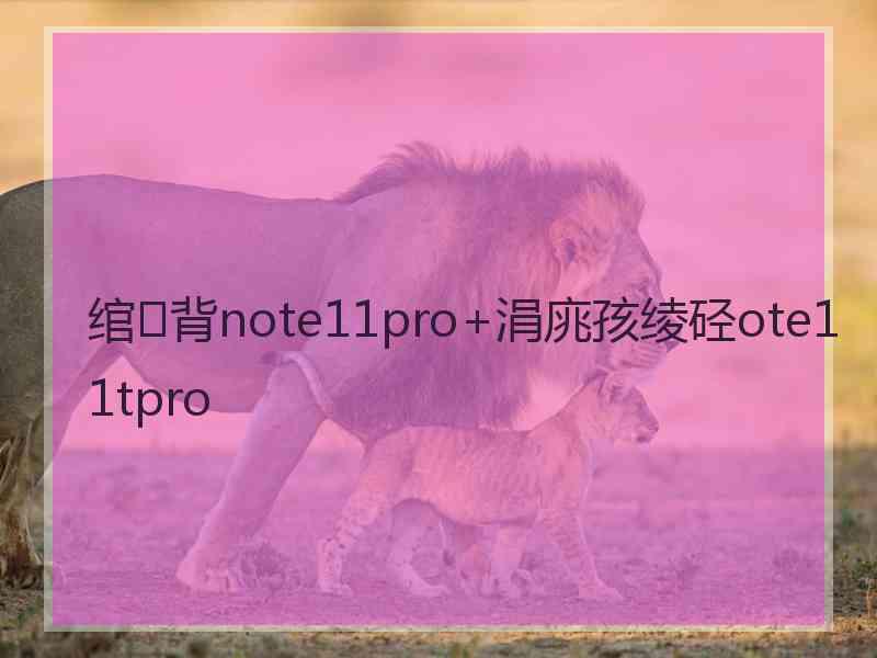 绾㈢背note11pro+涓庣孩绫硁ote11tpro