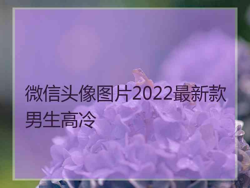 微信头像图片2022最新款男生高冷