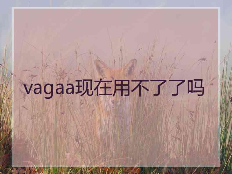 vagaa现在用不了了吗