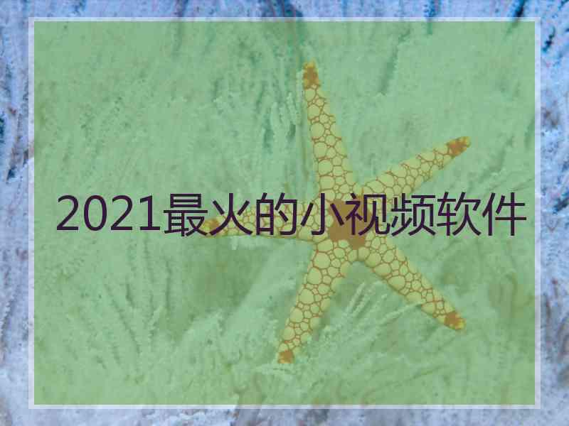 2021最火的小视频软件