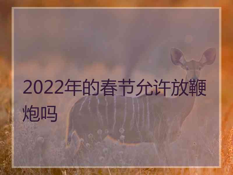 2022年的春节允许放鞭炮吗