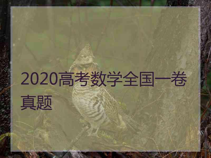 2020高考数学全国一卷真题