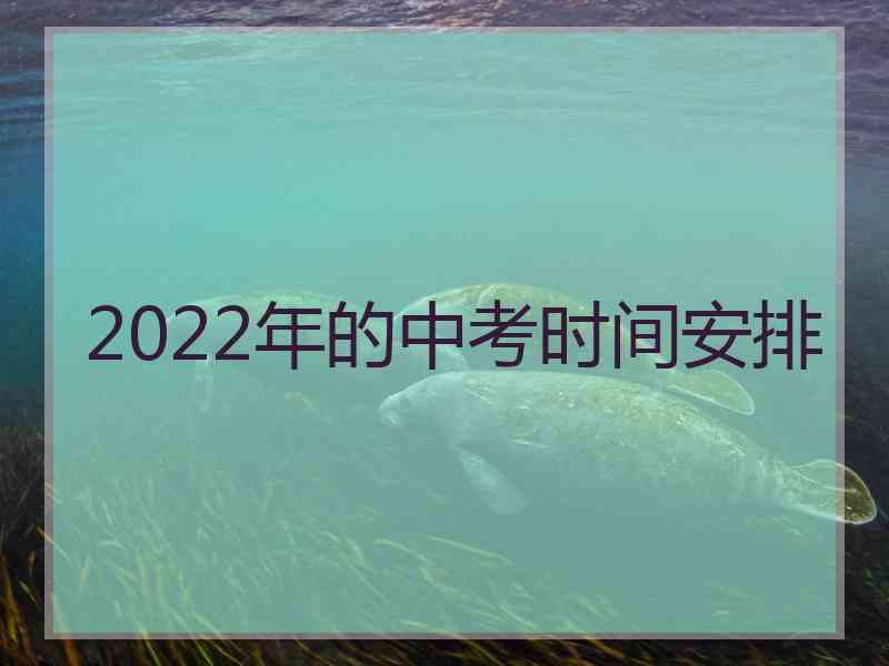 2022年的中考时间安排