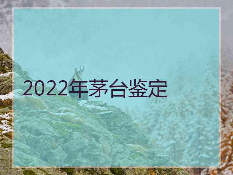 2022年茅台鉴定