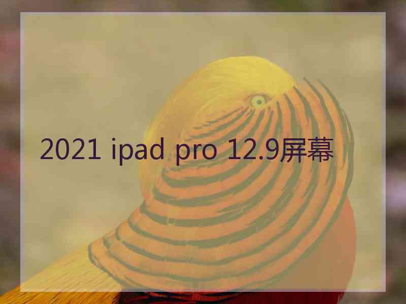 2021 ipad pro 12.9屏幕