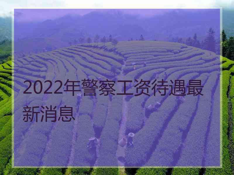 2022年警察工资待遇最新消息