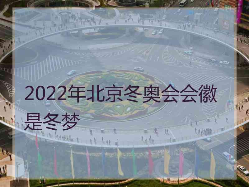 2022年北京冬奥会会徽是冬梦