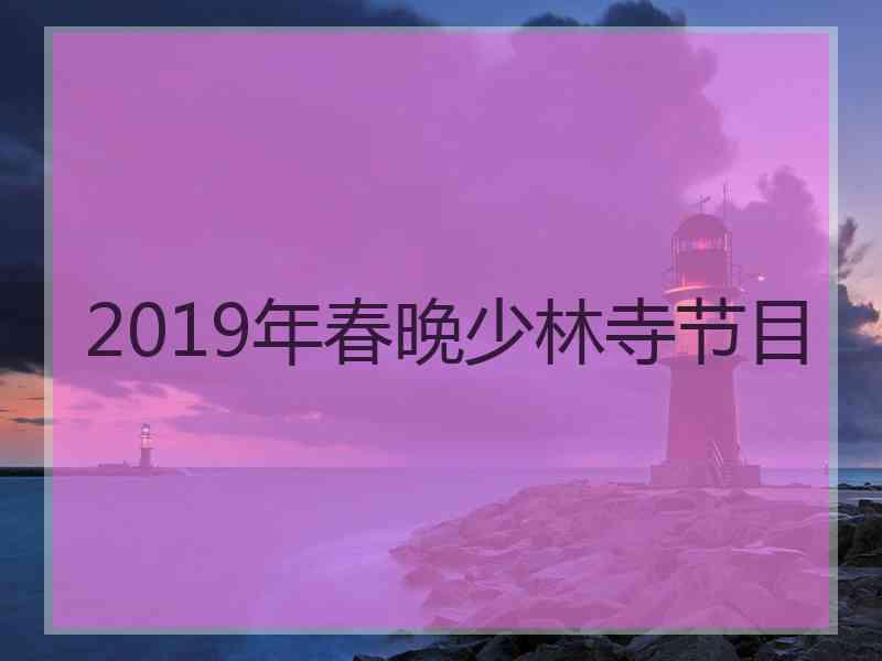 2019年春晚少林寺节目