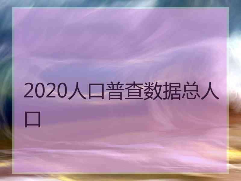 2020人口普查数据总人口