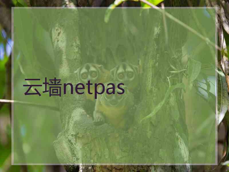 云墙netpas