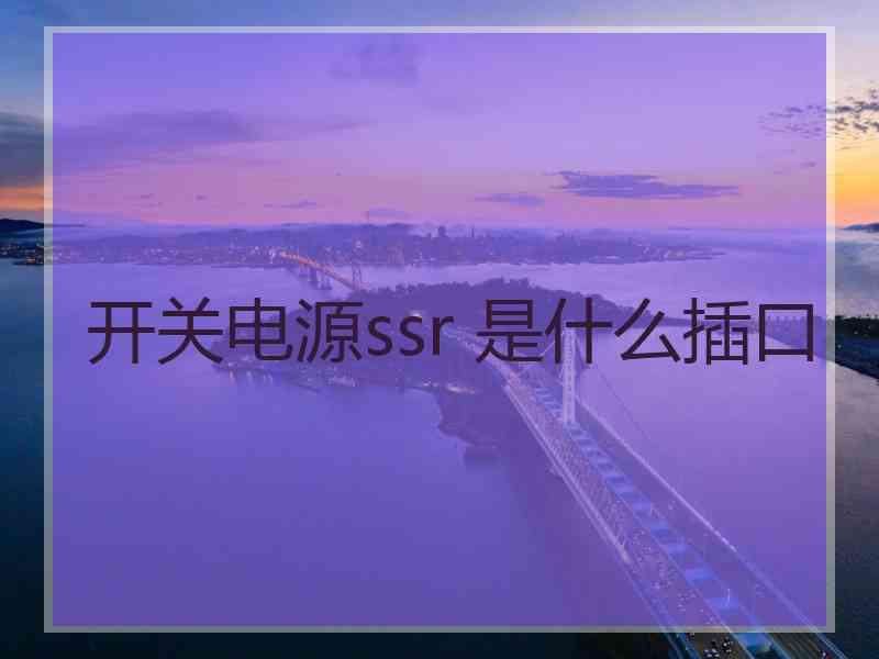 开关电源ssr 是什么插口