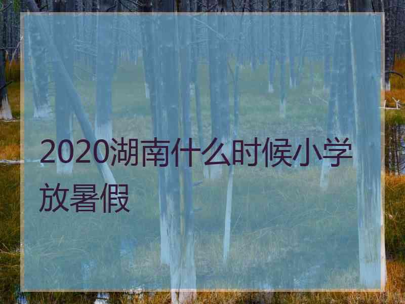 2020湖南什么时候小学放暑假