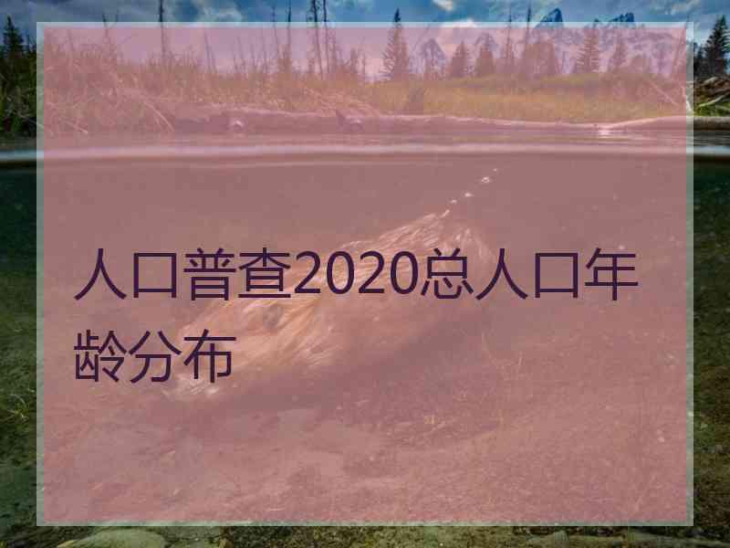 人口普查2020总人口年龄分布