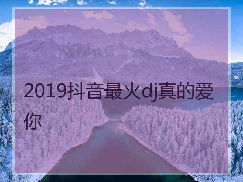 2019抖音最火dj真的爱你