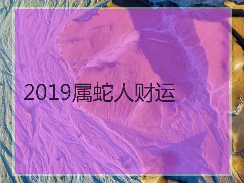 2019属蛇人财运