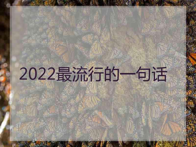 2022最流行的一句话