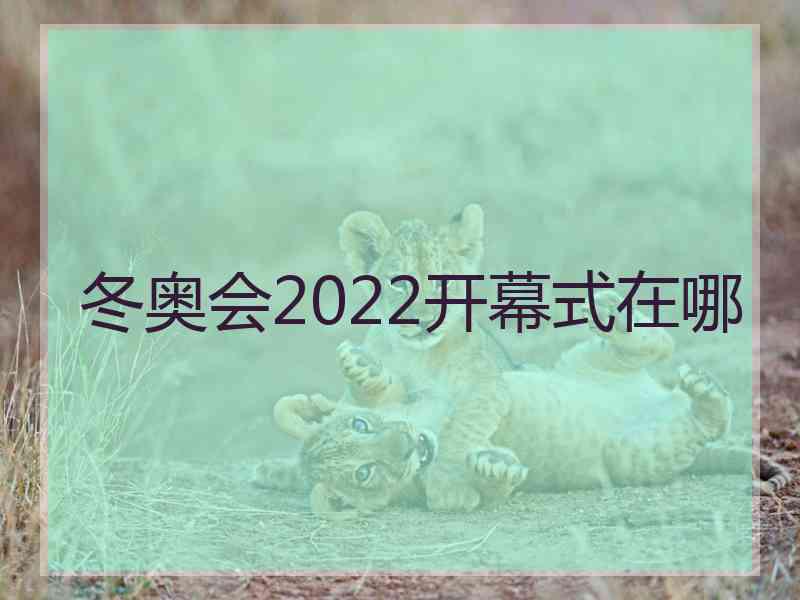 冬奥会2022开幕式在哪