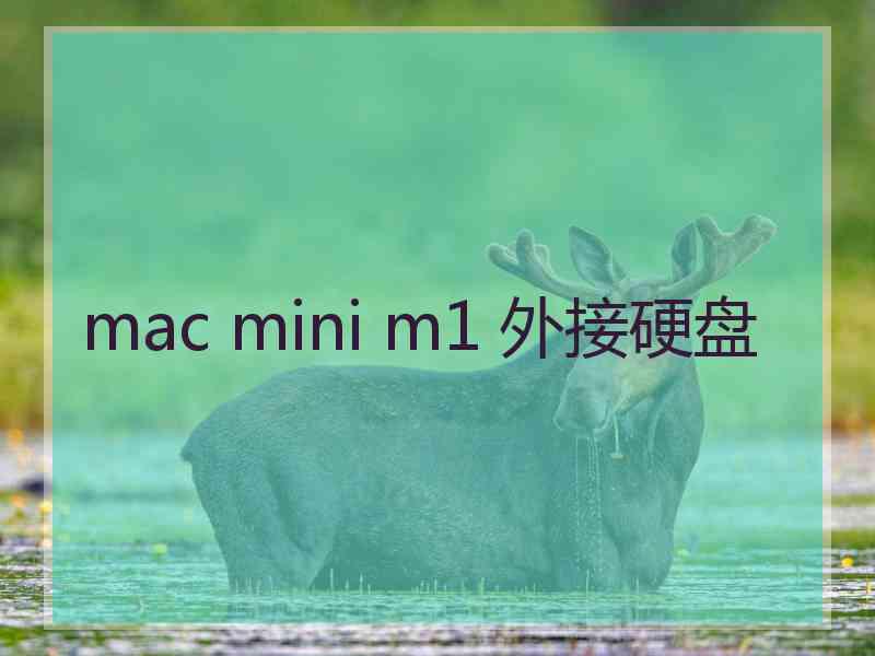 mac mini m1 外接硬盘