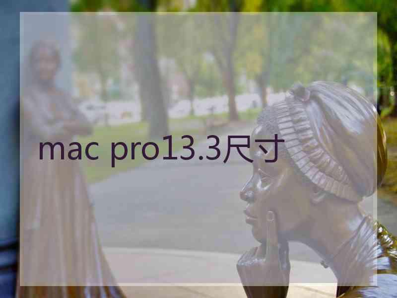 mac pro13.3尺寸