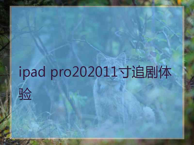 ipad pro202011寸追剧体验