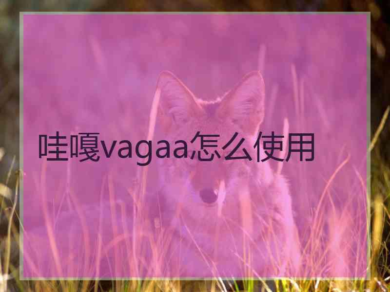 哇嘎vagaa怎么使用