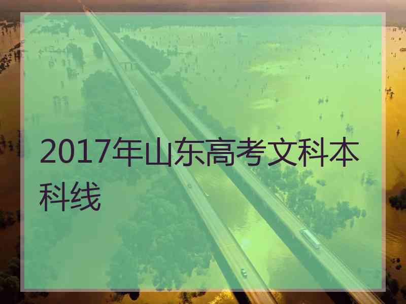 2017年山东高考文科本科线