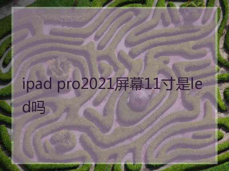 ipad pro2021屏幕11寸是led吗